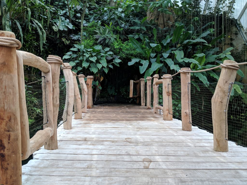 Accoya ukázka 2